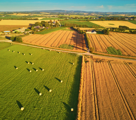 Agriculture Land